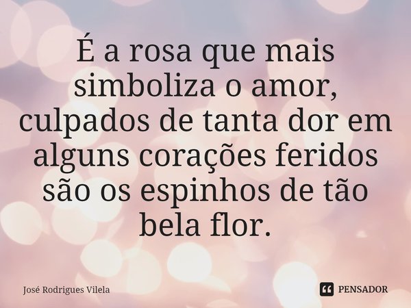 ⁠É a rosa que mais simboliza o amor, culpados de tanta dor em alguns corações feridos são os espinhos de tão bela flor.... Frase de José Rodrigues Vilela.