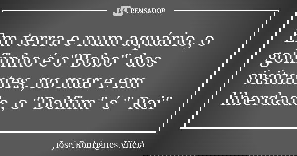 Em terra e num aquário, o golfinho é o"Bobo" dos visitantes, no mar e em liberdade, o "Delfim" é " Rei"... Frase de José Rodrigues Vilela.