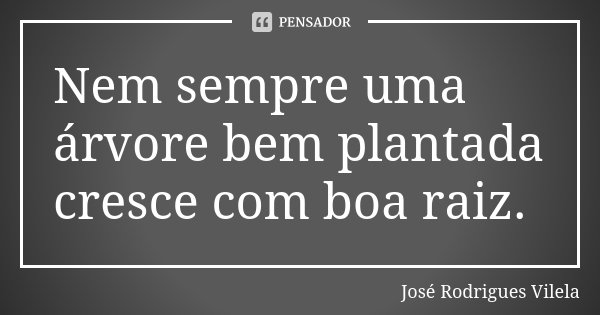 Nem sempre uma árvore bem plantada cresce com boa raiz.... Frase de José Rodrigues Vilela.