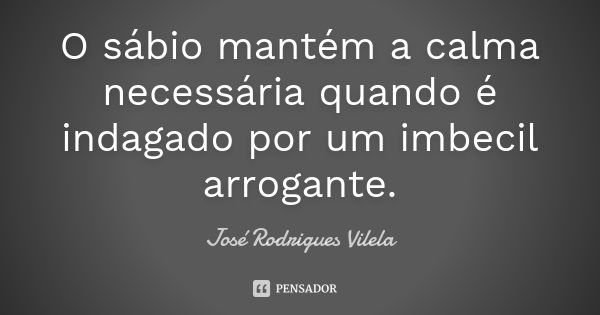 O sábio mantém a calma necessária quando é indagado por um imbecil arrogante.... Frase de José Rodrigues Vilela.