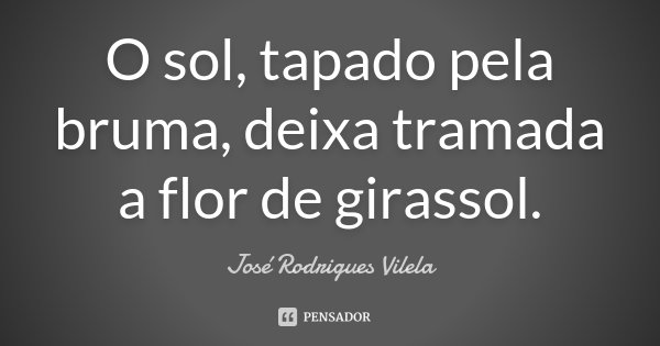 O sol, tapado pela bruma, deixa tramada a flor de girassol.... Frase de José Rodrigues Vilela.
