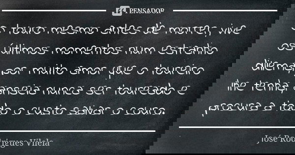 O touro mesmo antes de morrer, vive os últimos momentos num estranho dilema, por muito amor que o toureiro lhe tenha, anseia nunca ser toureado e procura a todo... Frase de José Rodrigues Vilela.