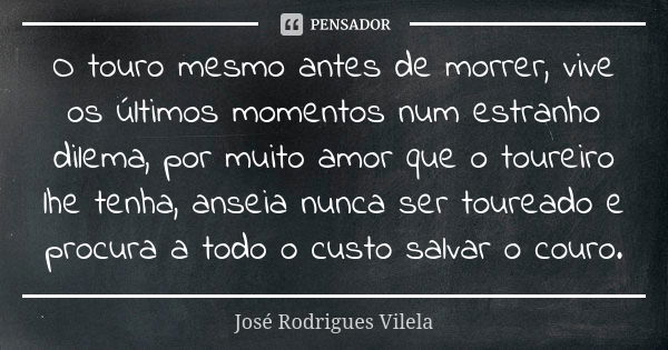 O touro mesmo antes de morrer, vive os últimos momentos num estranho dilema, por muito amor que o toureiro lhe tenha, anseia nunca ser toureado e procura a todo... Frase de José Rodrigues Vilela.