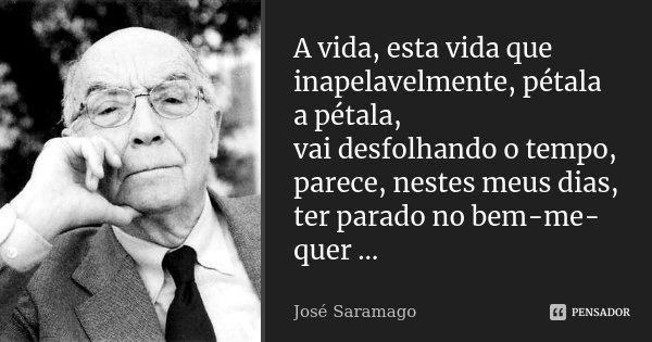 A vida, esta vida que inapelavelmente, pétala a pétala, vai desfolhando o tempo, parece, nestes meus dias, ter parado no bem-me-quer …... Frase de José Saramago.