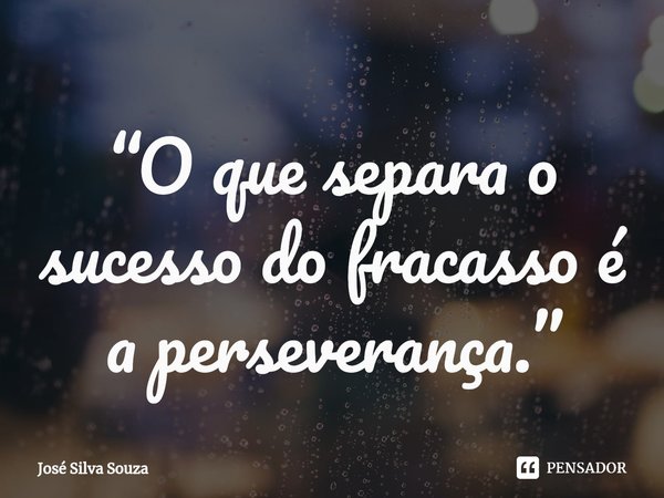 ⁠“O que separa o sucesso do fracasso é a perseverança.”... Frase de José Silva Souza.
