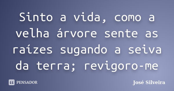 Sinto a vida, como a velha árvore sente as raízes sugando a seiva da terra; revigoro-me... Frase de José Silveira.