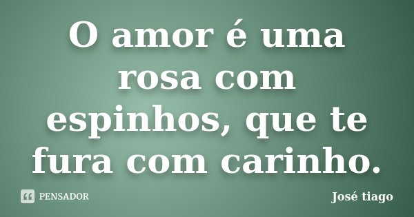 O amor é uma rosa com espinhos, que te fura com carinho.... Frase de José Tiago.