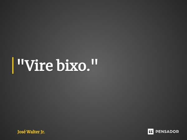 ⁠"Vire bixo."... Frase de José Walter Jr..