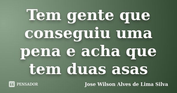 Tem gente que conseguiu uma pena e acha que tem duas asas... Frase de Jose Wilson Alves de Lima Silva.
