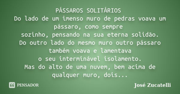 PÁSSAROS SOLITÁRIOS Do lado de um imenso muro de pedras voava um pássaro, como sempre sozinho, pensando na sua eterna solidão. Do outro lado do mesmo muro outro... Frase de José Zucatelli.