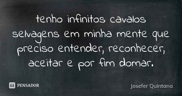 tenho infinitos cavalos selvagens em minha mente que preciso entender, reconhecer, aceitar e por fim domar.... Frase de Josefer Quintana.