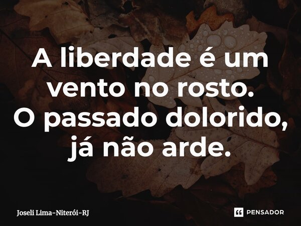⁠A liberdade é um vento no rosto. O passado dolorido, já não arde.... Frase de Joseli Lima-Niterói-RJ.