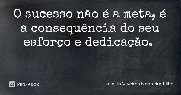 O sucesso não é a meta, é a consequência do seu esforço e dedicação.... Frase de Joselito Viveiros Nogueira Filho.