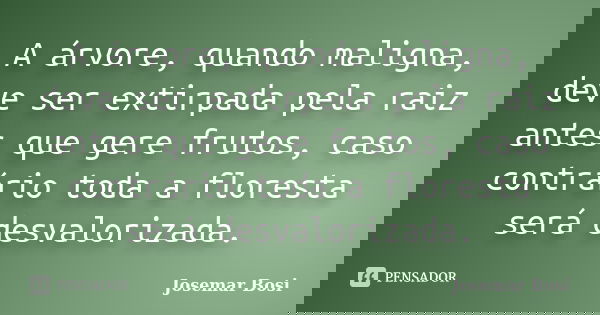 A árvore, quando maligna, deve ser extirpada pela raiz antes que gere frutos, caso contrário toda a floresta será desvalorizada.... Frase de Josemar Bosi.