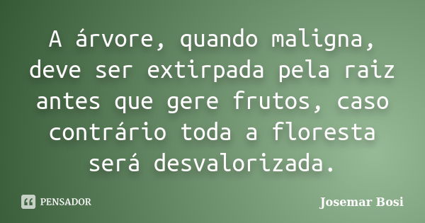 A árvore, quando maligna, deve ser extirpada pela raiz antes que gere frutos, caso contrário toda a floresta será desvalorizada.... Frase de Josemar Bosi.