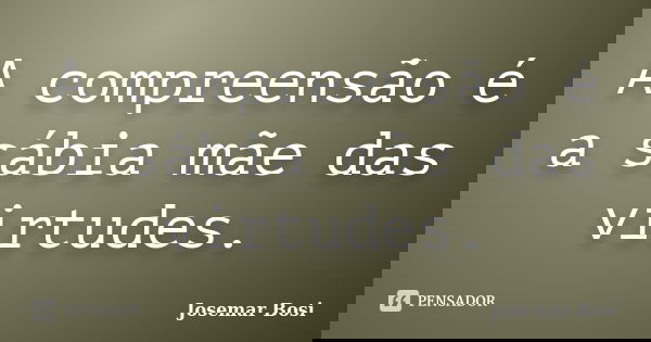 A compreensão é a sábia mãe das virtudes.... Frase de Josemar Bosi.