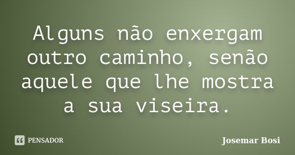 Alguns não enxergam outro caminho, senão aquele que lhe mostra a sua viseira.... Frase de Josemar Bosi.