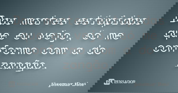 Das mortes estúpidas que eu vejo, só me conformo com a do zangão.... Frase de Josemar Bosi.