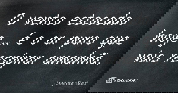 O vento estocado hoje... é o ar puro que vais respirar amanhã.... Frase de Josemar Bosi.