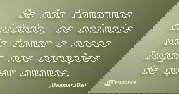 Se não tomarmos cuidado, os animais vão tomar o nosso lugar nos corações de quem amamos.... Frase de Josemar Bosi.