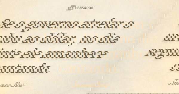 Se o governo atrelar o urubu ao dólar, no dia seguinte ele amanhece cantando.... Frase de Josemar Bosi.