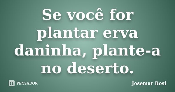 Se você for plantar erva daninha, plante-a no deserto.... Frase de Josemar Bosi.