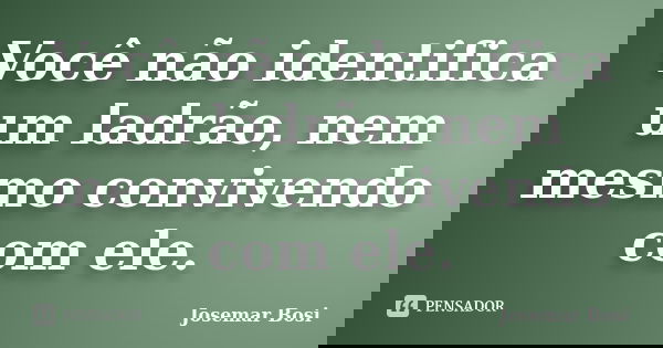 Você não identifica um ladrão, nem mesmo convivendo com ele.... Frase de Josemar Bosi.
