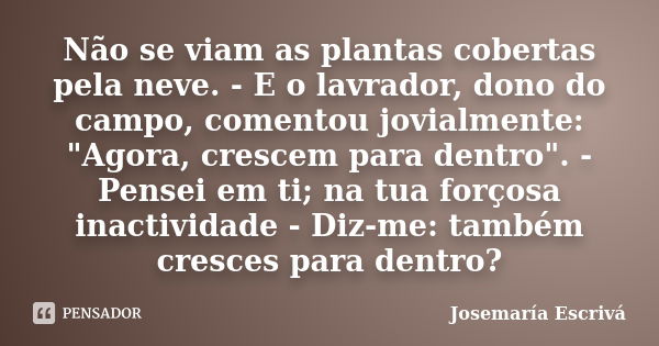 Não se viam as plantas cobertas pela neve. - E o lavrador, dono do campo, comentou jovialmente: "Agora, crescem para dentro". - Pensei em ti; na tua f... Frase de Josemaría Escrivá.