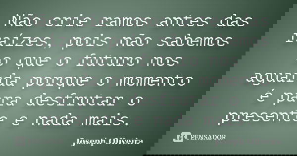 Não crie ramos antes das raízes, pois não sabemos o que o futuro nos aguarda porque o momento é para desfrutar o presente e nada mais.... Frase de Joseph Oliveira.