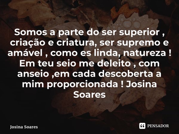 Somos a parte do ser superior , criação e criatura, ser supremo e amável , como es linda, natureza ! Em teu seio me deleito , com anseio ,em cada descoberta a m... Frase de Josina Soares.