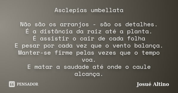 Asclepias umbellata Não são os arranjos - são os detalhes. É a distância da raiz até a planta. É assistir o cair de cada folha E pesar por cada vez que o vento ... Frase de Josue Altino.