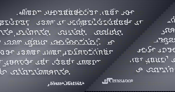Amor verdadeiro não se implora, com a simplicidade a gente planta, cuida, aduba, rega com água celestial, e ele cresce como uma plantinha no qual a gente dá tod... Frase de Josué Batista.