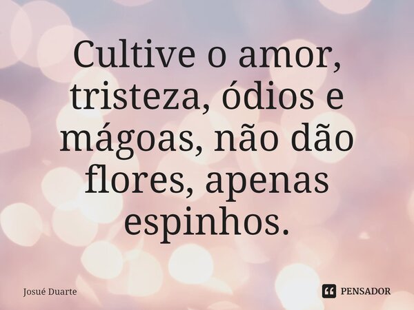⁠Cultive o amor, tristeza, ódios e mágoas, não dão flores, apenas espinhos.... Frase de Josué Duarte.