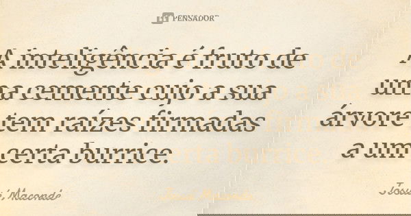 A inteligência é fruto de uma cemente cujo a sua árvore tem raízes firmadas a um certa burrice.... Frase de Josué Maconde.