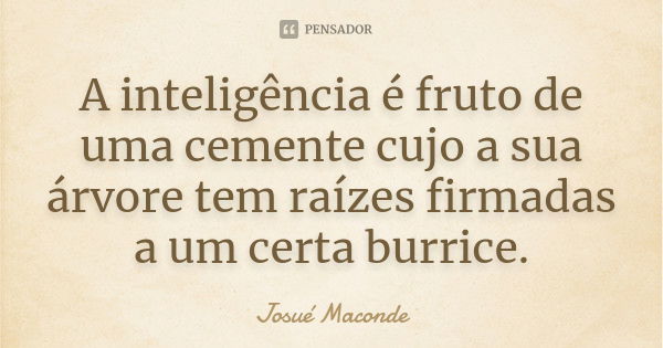 A inteligência é fruto de uma cemente cujo a sua árvore tem raízes firmadas a um certa burrice.... Frase de Josué Maconde.