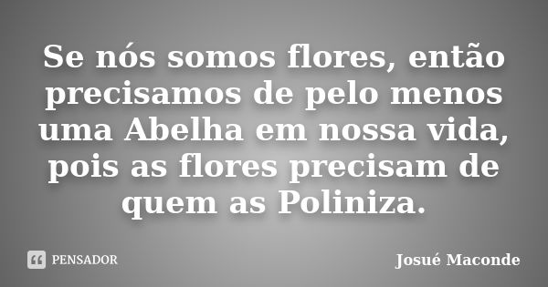 Se nós somos flores, então precisamos de pelo menos uma Abelha em nossa vida, pois as flores precisam de quem as Poliniza.... Frase de Josué Maconde.