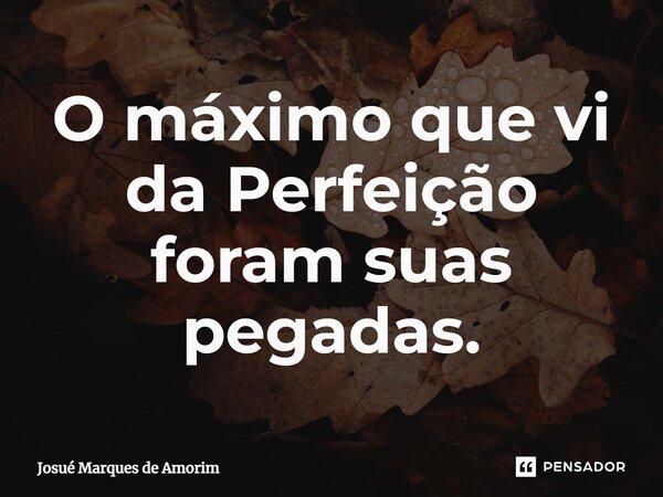 ⁠O máximo que vi da Perfeição foram suas pegadas.... Frase de Josué Marques de Amorim.