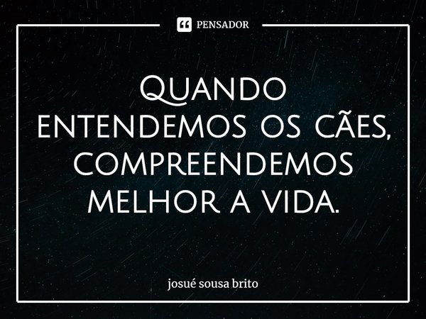 ⁠Quando entendemos os cães, compreendemos melhor a vida.... Frase de josué sousa brito.