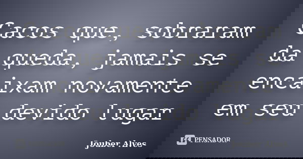 Cacos que, sobraram da queda, jamais se encaixam novamente em seu devido lugar... Frase de Jouber Alves.