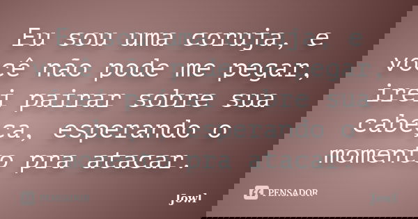 Eu sou uma coruja, e você não pode me pegar, irei pairar sobre sua cabeça, esperando o momento pra atacar.... Frase de Jowl.