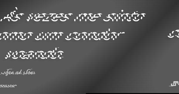 Às vezes me sinto como um condor voando.... Frase de joze de goes.