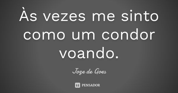 Às vezes me sinto como um condor voando.... Frase de joze de goes.