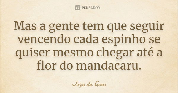 Mas a gente tem que seguir vencendo cada espinho se quiser mesmo chegar até a flor do mandacaru.... Frase de Joze de Goes.