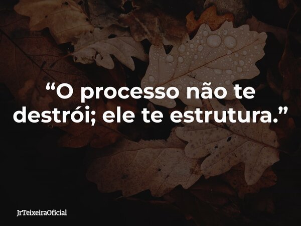 “O processo não te destrói; ele te estrutura.”... Frase de JrTeixeiraOficial.