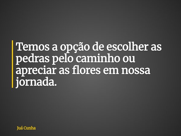 Temos a opção de escolher as pedras pelo caminho ou apreciar as flores em nossa jornada.... Frase de Juá Cunha.