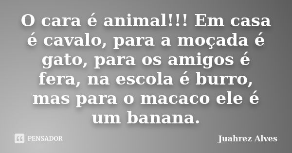 O cara é animal!!! Em casa é cavalo, para a moçada é gato, para os amigos é fera, na escola é burro, mas para o macaco ele é um banana.... Frase de Juahrez Alves.