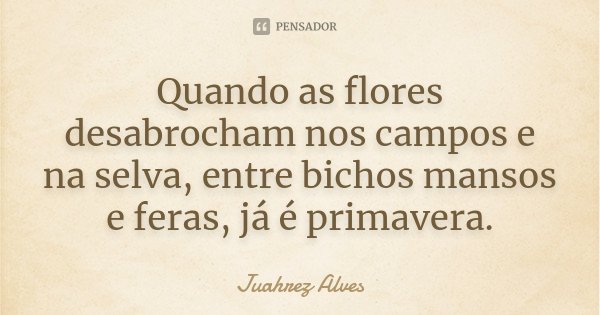 Quando as flores desabrocham nos campos e na selva, entre bichos mansos e feras, já é primavera.... Frase de Juahrez Alves.