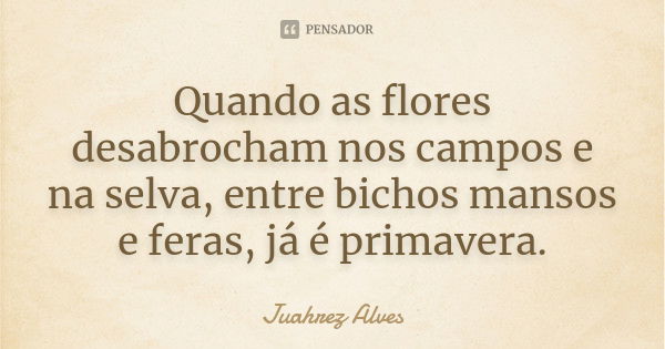 Quando as flores desabrocham nos campos e na selva, entre bichos mansos e feras, já é primavera.... Frase de Juahrez Alves.