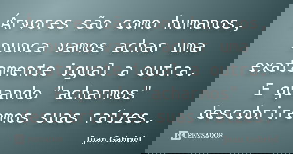 Árvores são como humanos, nunca vamos achar uma exatamente igual a outra. E quando "acharmos" descobriremos suas raízes.... Frase de Juan Gabriel.