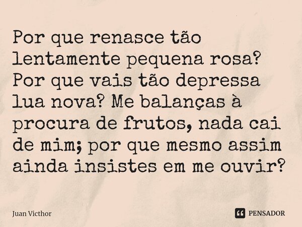 ⁠Por que renasce tão lentamente pequena rosa? Por que vais tão depressa lua nova? Me balanças à procura de frutos, nada cai de mim; por que mesmo assim ainda in... Frase de Juan Victhor.